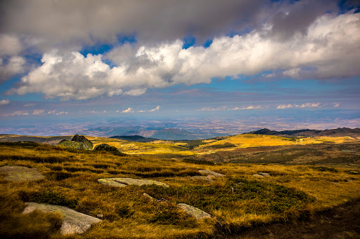 Vitosha