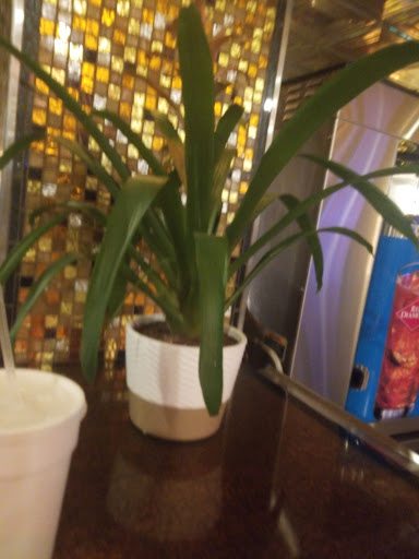 Racecourse «Ebro Greyhound Park», reviews and photos, 6558 Dog Track Road, Ebro, FL 32437, USA