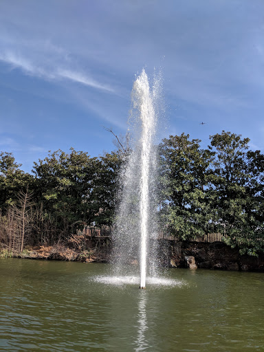 Gym «Baylor Tom Landry Fitness Center», reviews and photos, 411 N Washington Ave #1900, Dallas, TX 75246, USA