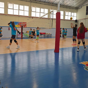 A.S.D. Pallavolo Apulia Monopoli Palazzetto dello Sport N. Gentile, Via Fiume, 16, 70043 Monopoli BA, Italia