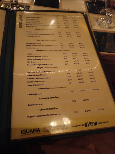 Tex-Mex Restaurant «Iguana New York», reviews and photos, 240 W 54th St, New York, NY 10019, USA