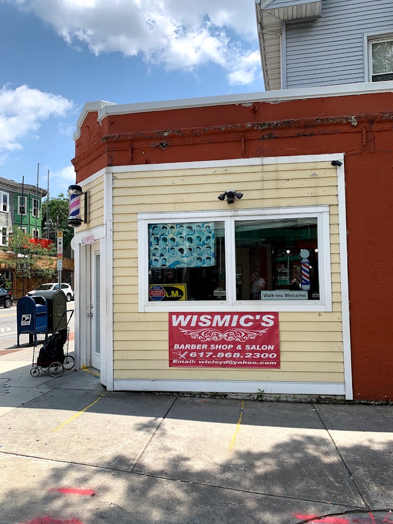 Wismic Unisex Salon 02139