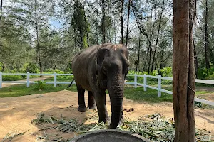Elephant Home image