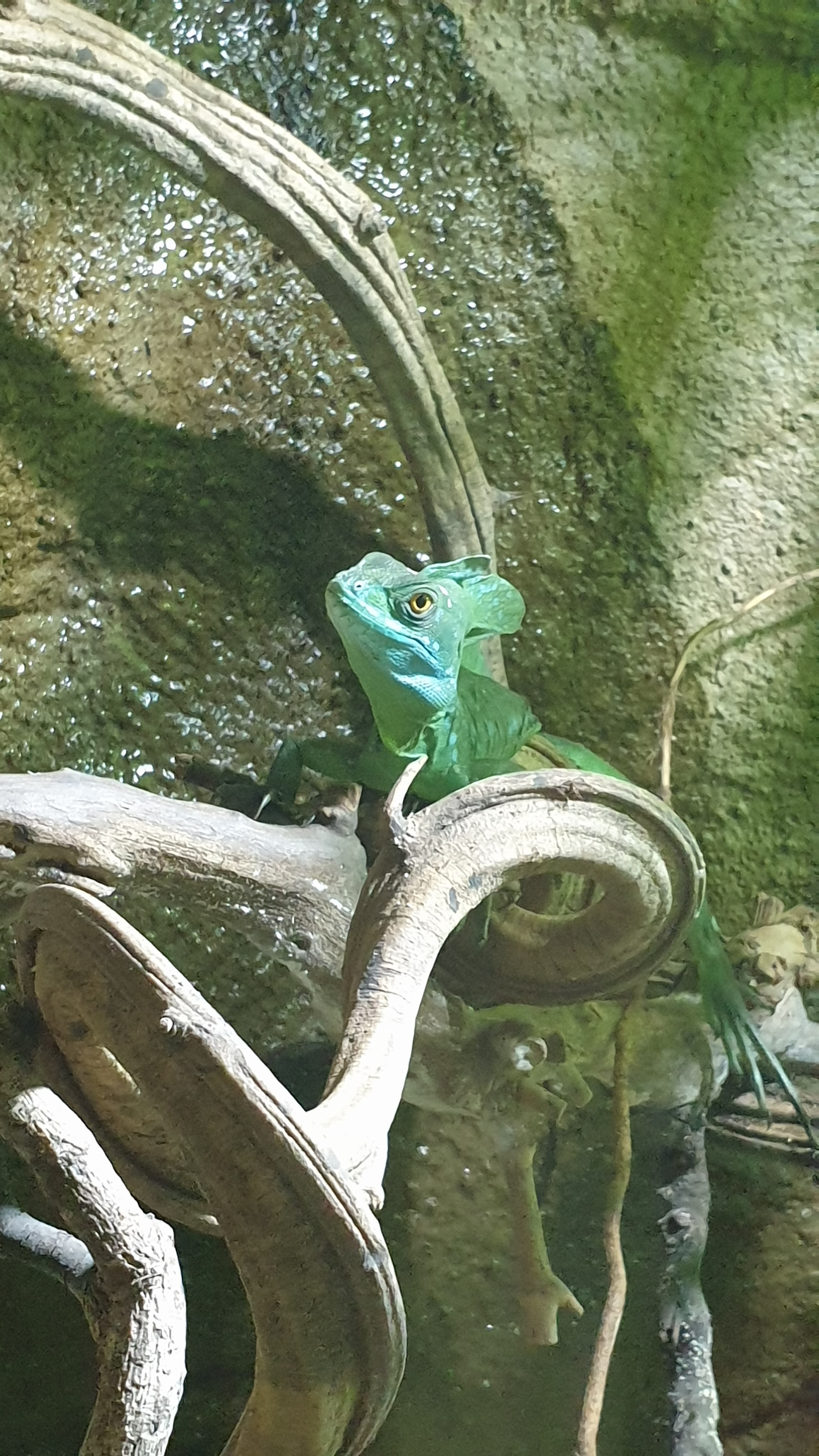 Photo n° 3 de l'avis de Laurent.o fait le 24/10/2021 à 17:02