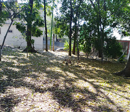 Mario Trujillo Park photo