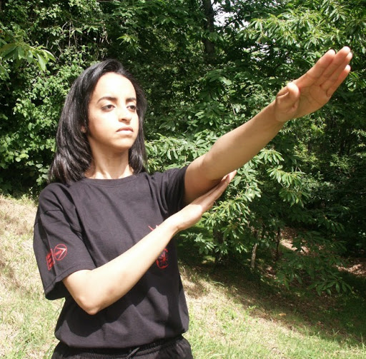 WING TSUN ACCADEMY BUCHAREST