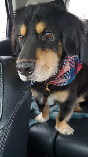 Pet Supply Store «PetSmart», reviews and photos, 114 Commerce Way, Woburn, MA 01801, USA