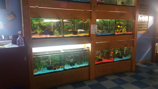 Pet Supply Store «CountryMax - Brockport», reviews and photos, 4875 Lake Rd N, Brockport, NY 14420, USA