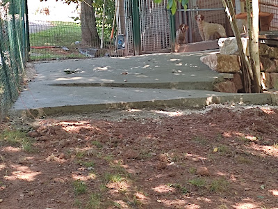 L12 construction à Rodelle