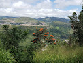 Best Nature Parks In Tegucigalpa Near You