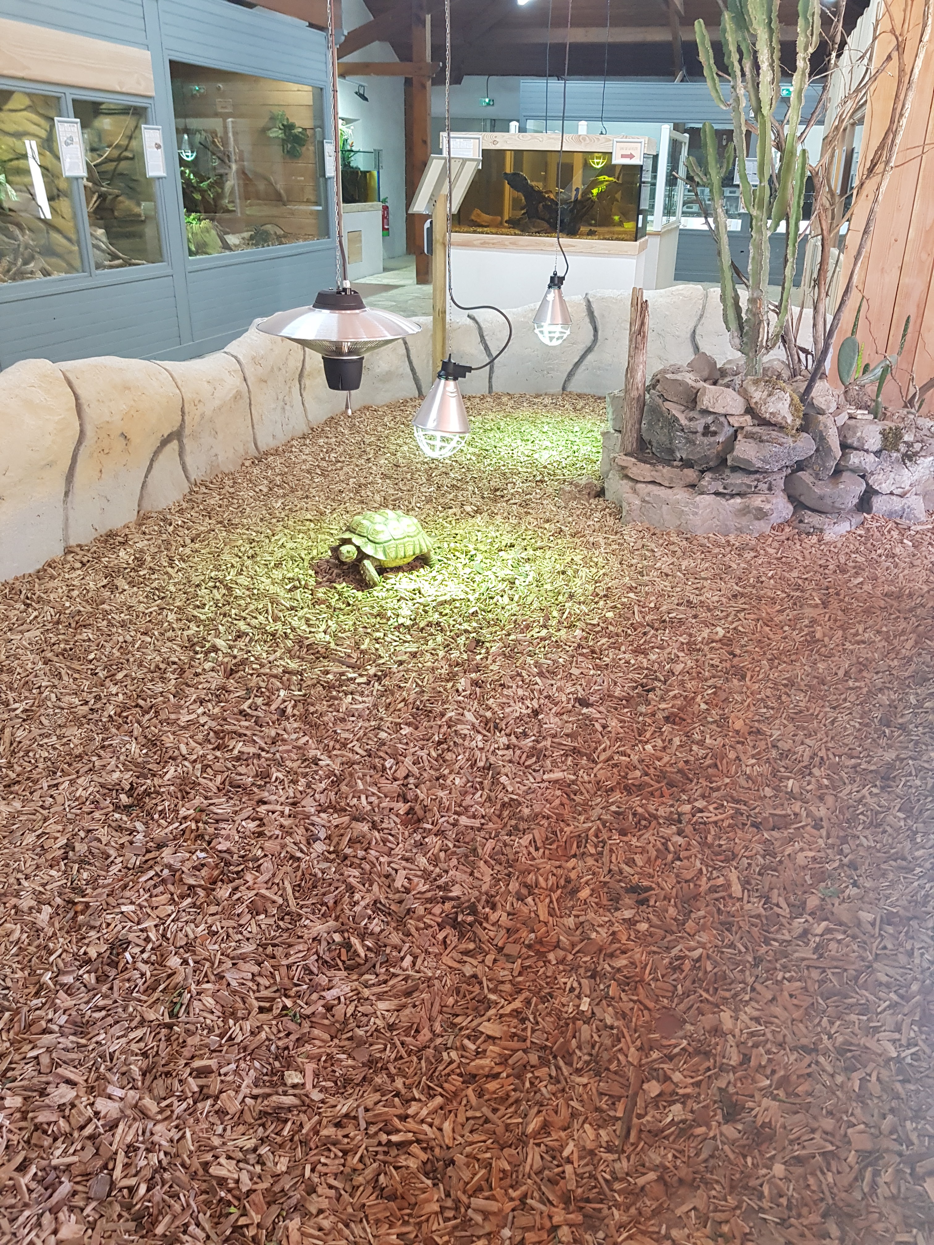 Photo n° 5 de l'avis de Lala.a fait le 24/08/2020 à 19:44