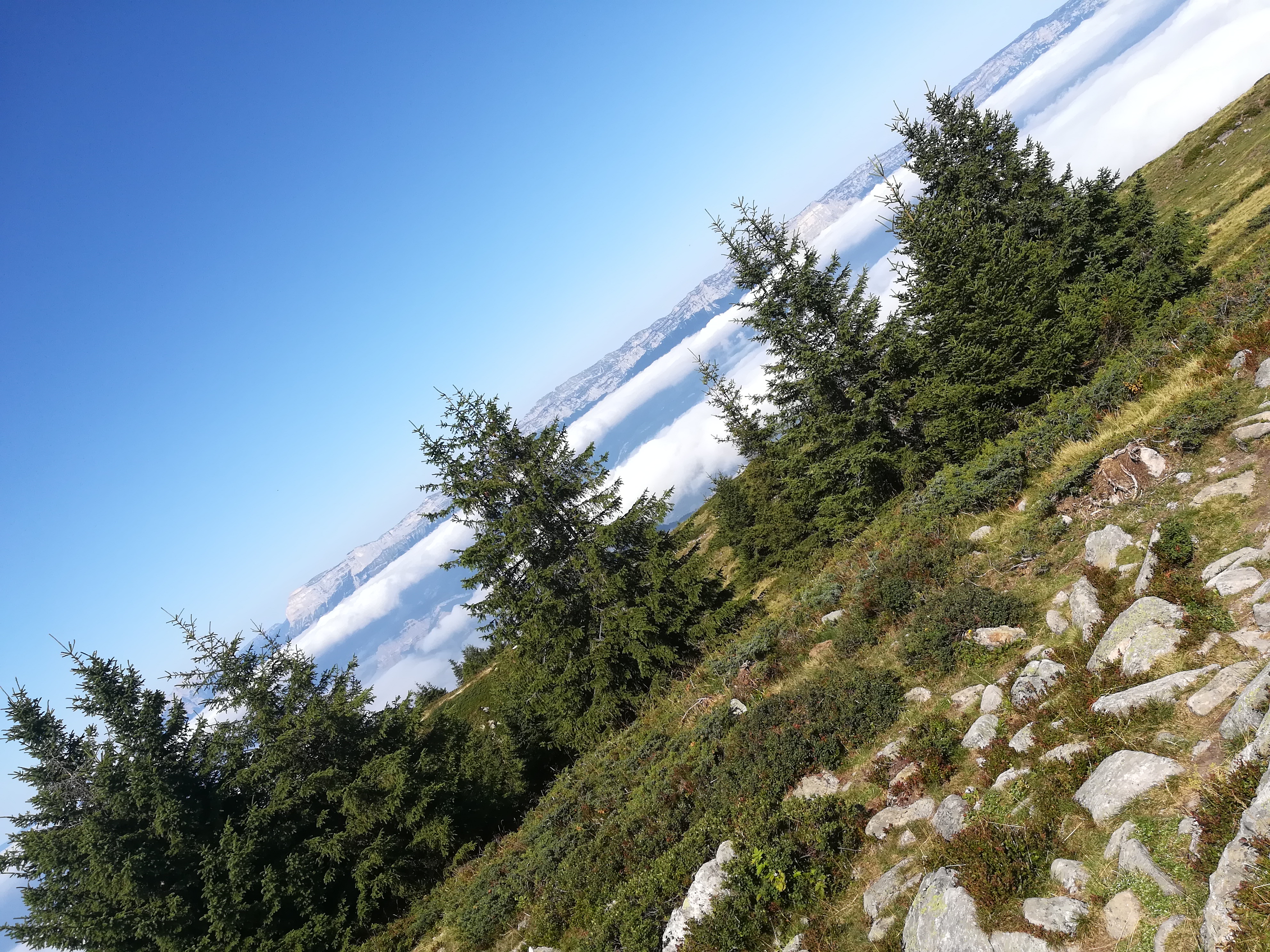 Photo n° 3 de l'avis de EMILIE.A fait le 26/08/2019 à 09:20