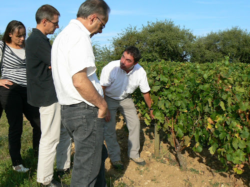 Atelier de la Vigne et du Vin à Beaune