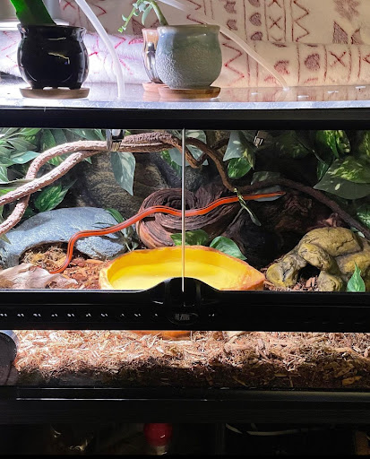 Pet Store «Suncoast Pets», reviews and photos, 7117 US-98, Panama City Beach, FL 32407, USA