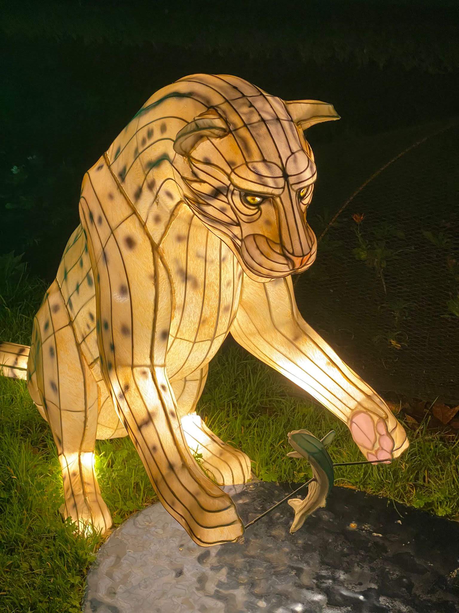 Photo n° 6 de l'avis de odile.E fait le 18/12/2023 à 19:57