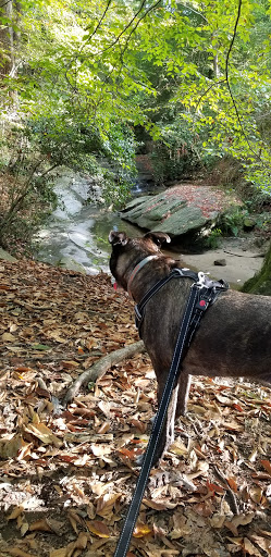 Nature Preserve «Daniel Johnson Nature Preserve», reviews and photos, 1301 Beech Valley Rd NE, Atlanta, GA 30306, USA