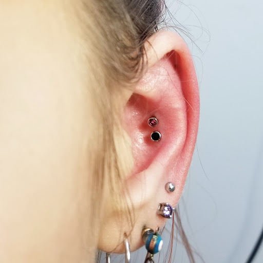 Body Piercing Shop «Skin Gallery Tattooing & Body Piercing», reviews and photos, 1402 Ogden Ave, Downers Grove, IL 60515, USA
