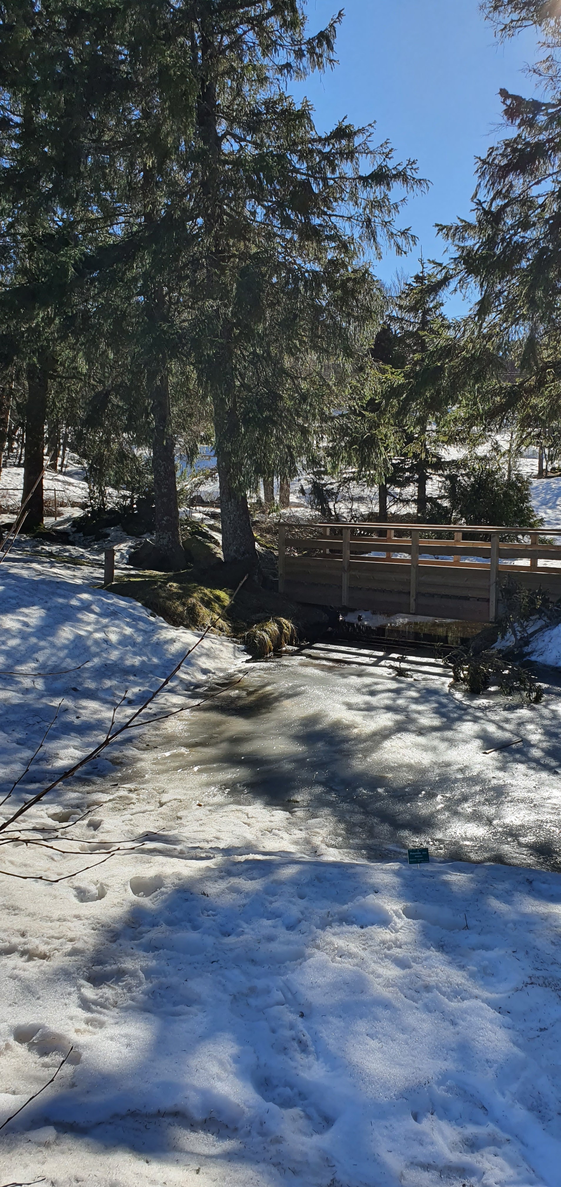 Photo n° 1 de l'avis de Sylvie.E fait le 21/02/2021 à 15:11