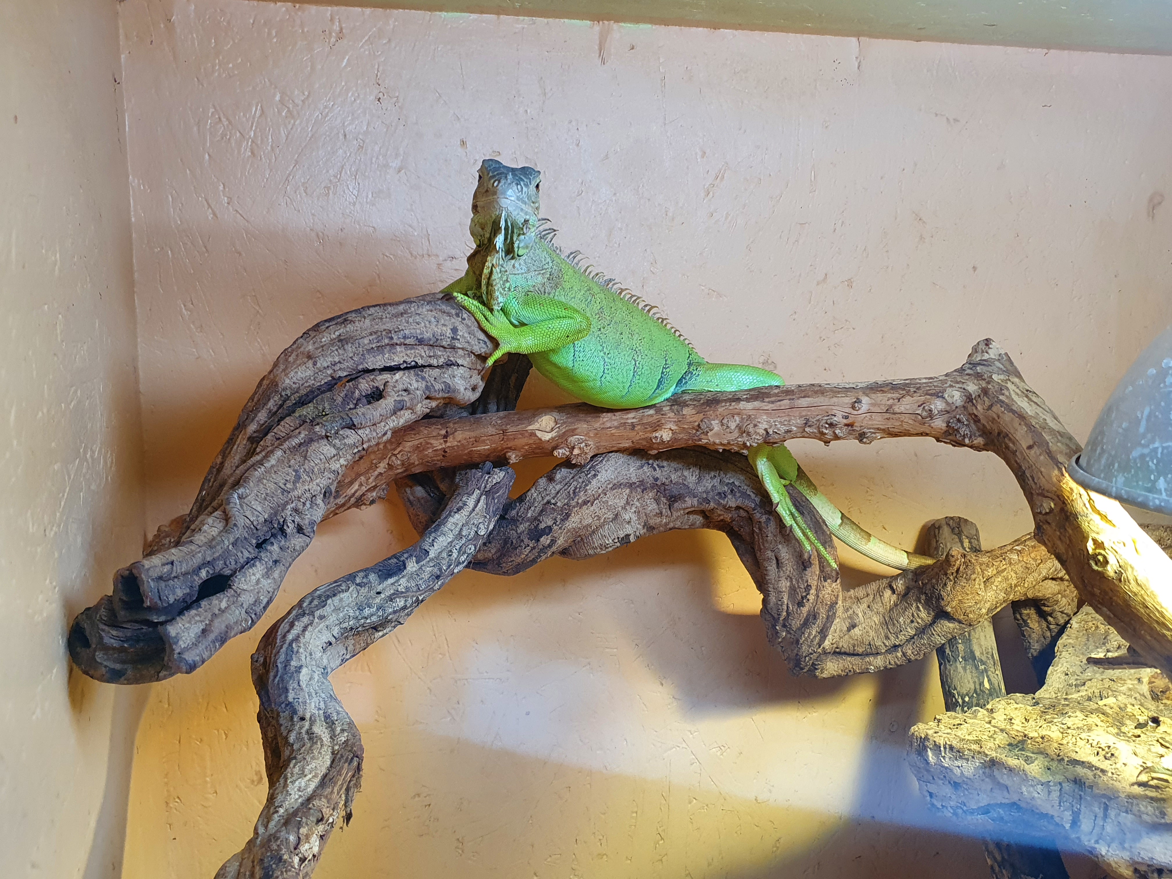 Photo n° 4 de l'avis de Laura.A fait le 01/01/2022 à 22:47