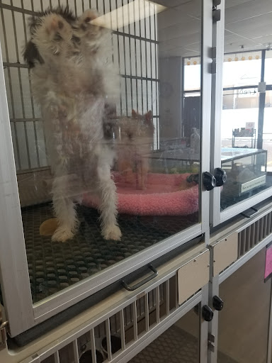 Pet Supply Store «Just Pets», reviews and photos, 8874 Maximus Dr, Lone Tree, CO 80124, USA