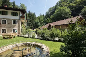 Hotel im Wald "Hammerschmiede" image