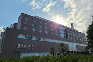 New Tokyo Hospital image