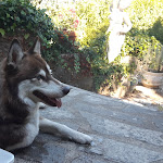 Photo n°2 de l'avis de Neil.l fait le 02/10/2018 à 14:17 sur le  Casa das Minas à Sintra