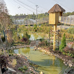 Photo n° 11 de l'avis de Alain.a fait le 03/06/2023 à 04:20 pour ZooParc de Beauval Entrée Nord à Saint-Aignan