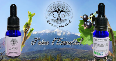GemmEssentiel à Prades