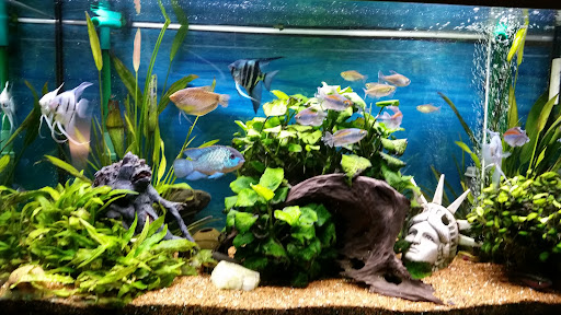 Aquarium-Plüderhausen unter Plüderhausen, 
