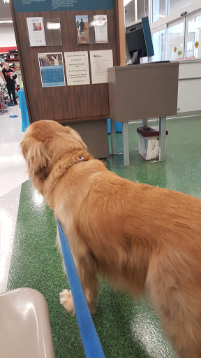 Pet Supply Store «Petco Animal Supplies», reviews and photos, 11639 S Pkwy Plaza Dr, South Jordan, UT 84095, USA