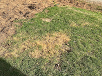 Turf Masters Lawn Care of Greenville - Photo 2 - Car repair in Mauldin, SC, Greenville