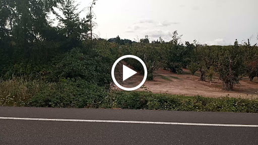 Farm «Eggers Acres», reviews and photos, 20400 NE Trunk Rd, Dundee, OR 97115, USA
