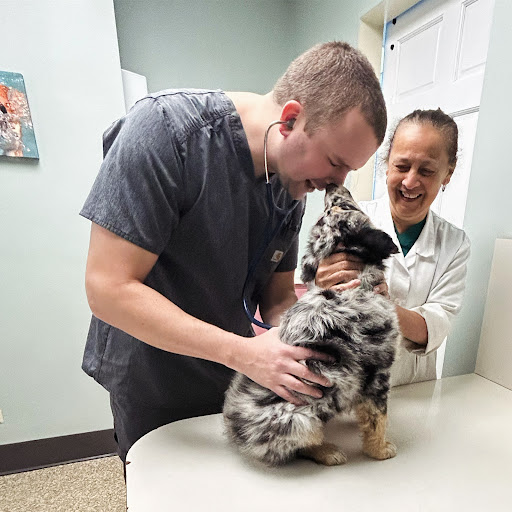 Swimming River Veterinary Hospital image