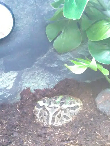 Pet Supply Store «Petco Animal Supplies», reviews and photos, 16417 Merchants Ln, King George, VA 22485, USA