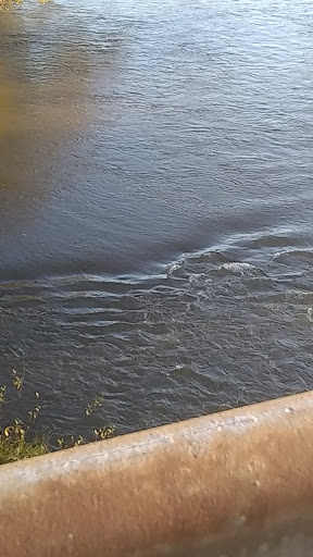 Park «Island Park», reviews and photos, 200 W B St, Springfield, OR 97477, USA