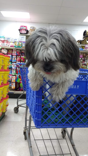 Pet Supply Store «Agway of North Haven», reviews and photos, 66 State St, North Haven, CT 06473, USA