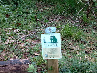 Non-Profit Organization «Nature Discovery Center», reviews and photos, 7112 Newcastle St, Bellaire, TX 77401, USA