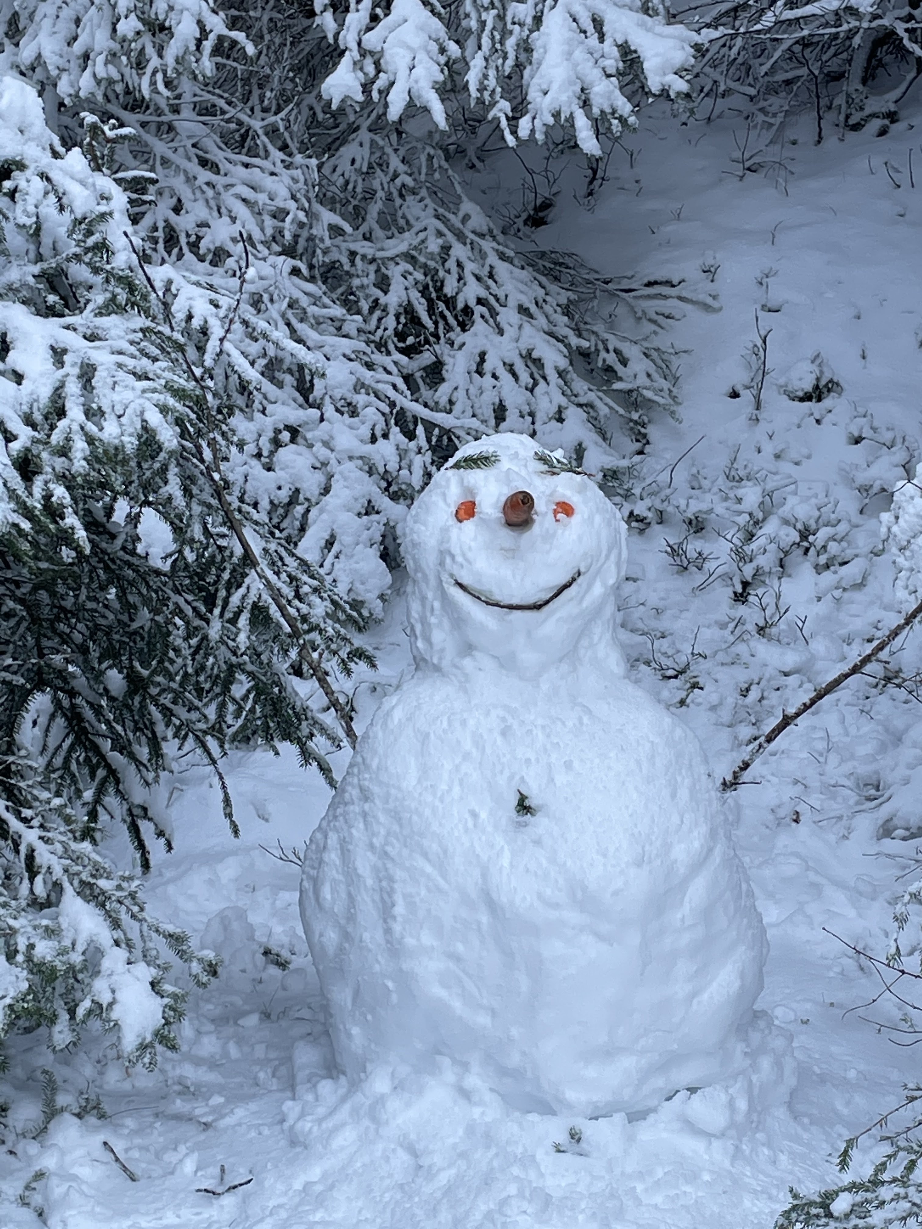Photo n° 1 de l'avis de Sébastien.u fait le 12/01/2021 à 20:34