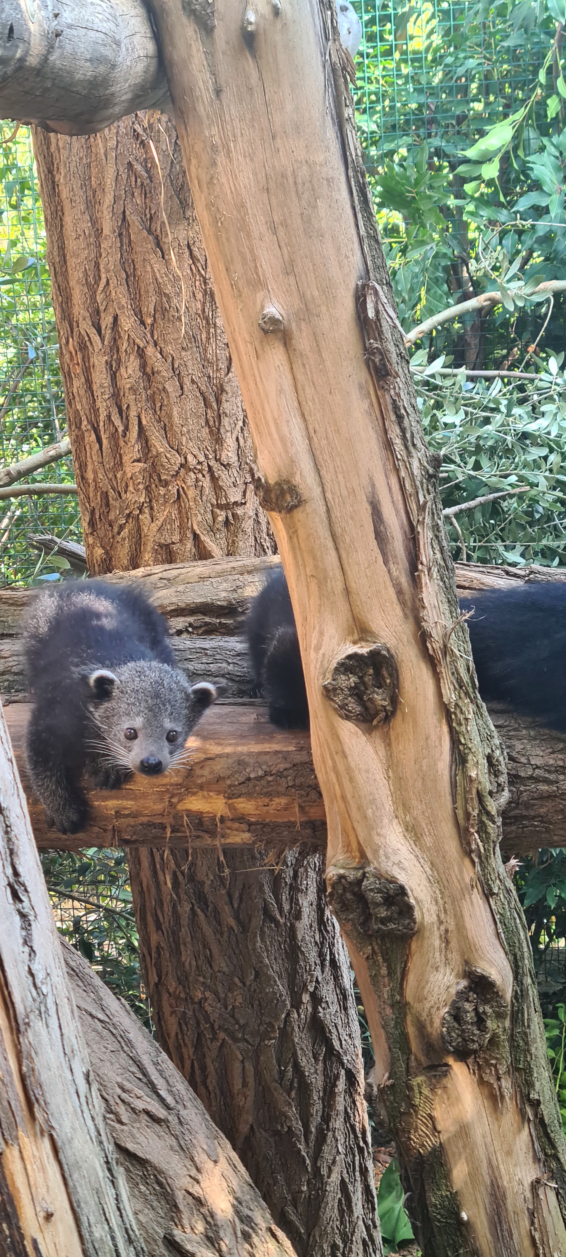 Photo n° 20 de l'avis de Jacky.r fait le 18/09/2022 à 05:13