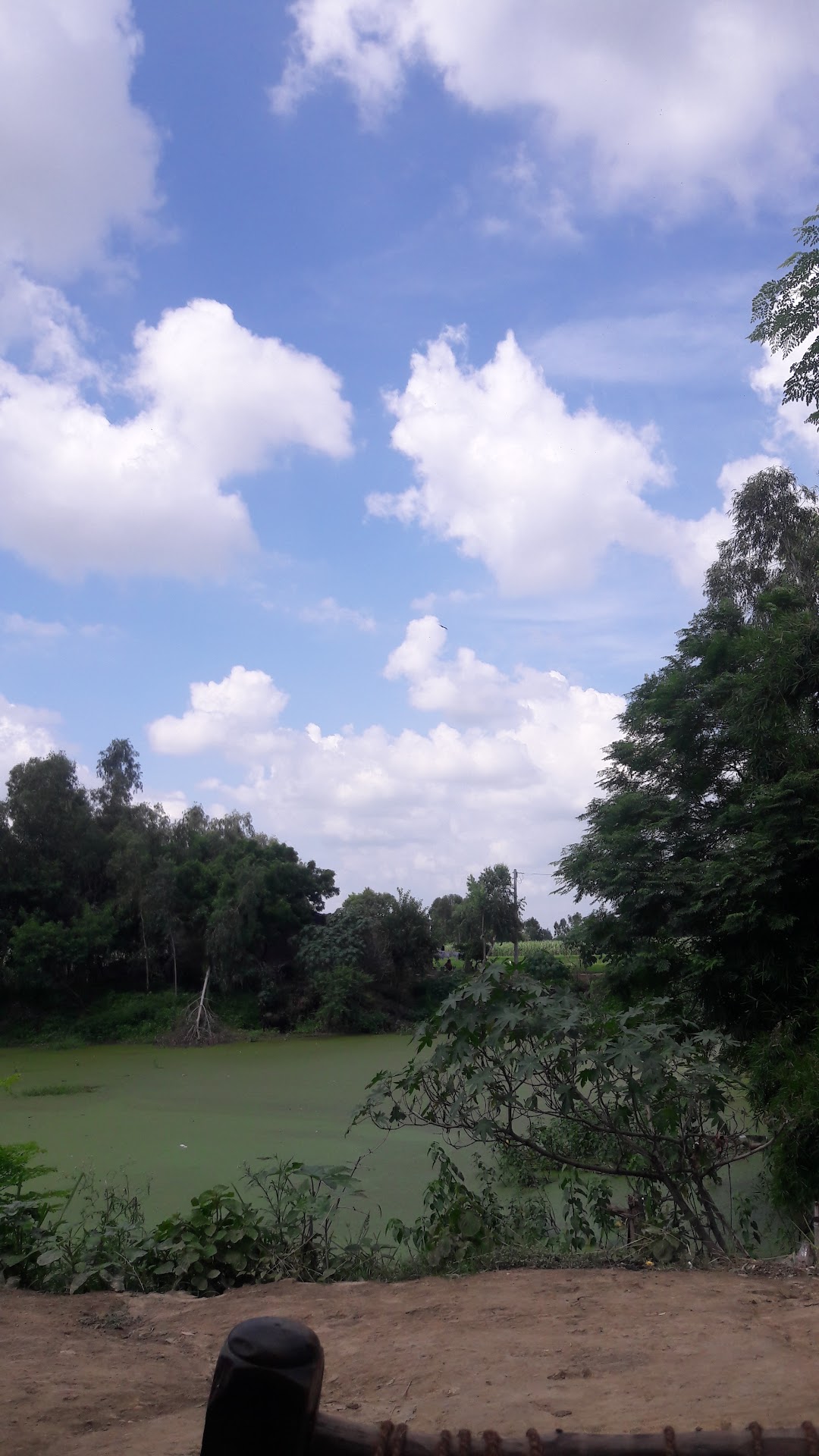 Lalbagh