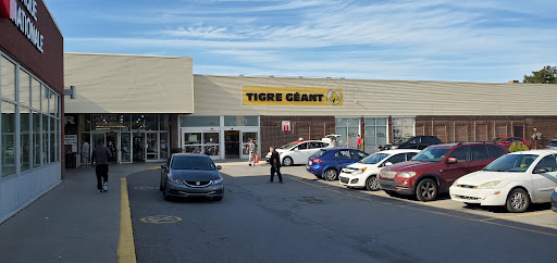 Tigre Géant