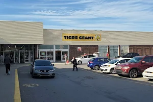 Tigre Géant image