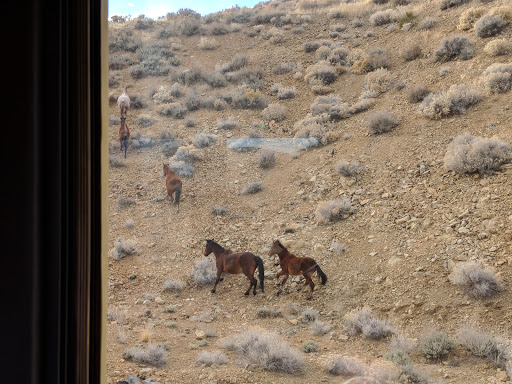 Tourist Attraction «Virginia City Depot», reviews and photos