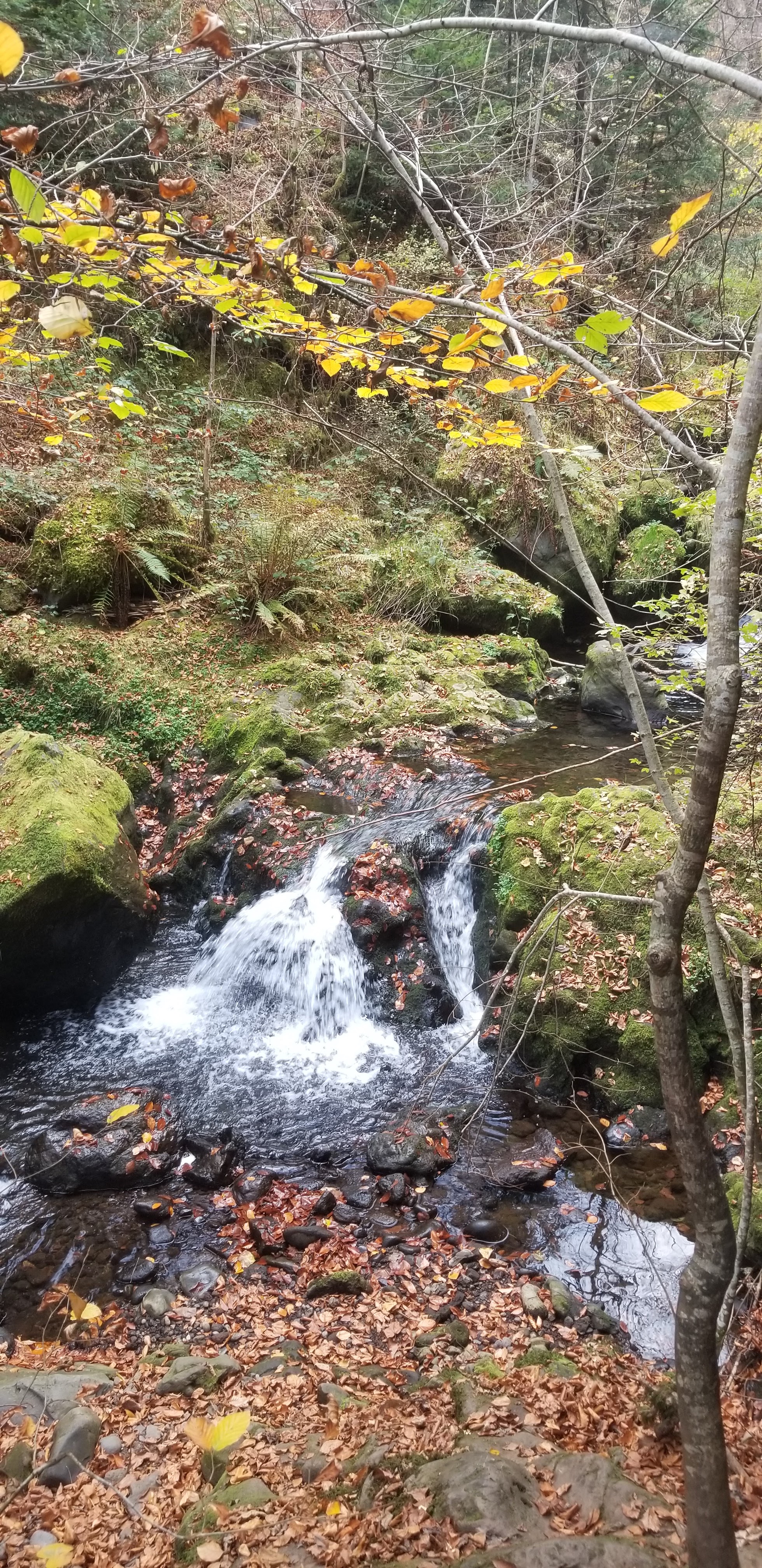 Photo n° 15 de l'avis de Céline.O fait le 31/10/2022 à 19:54