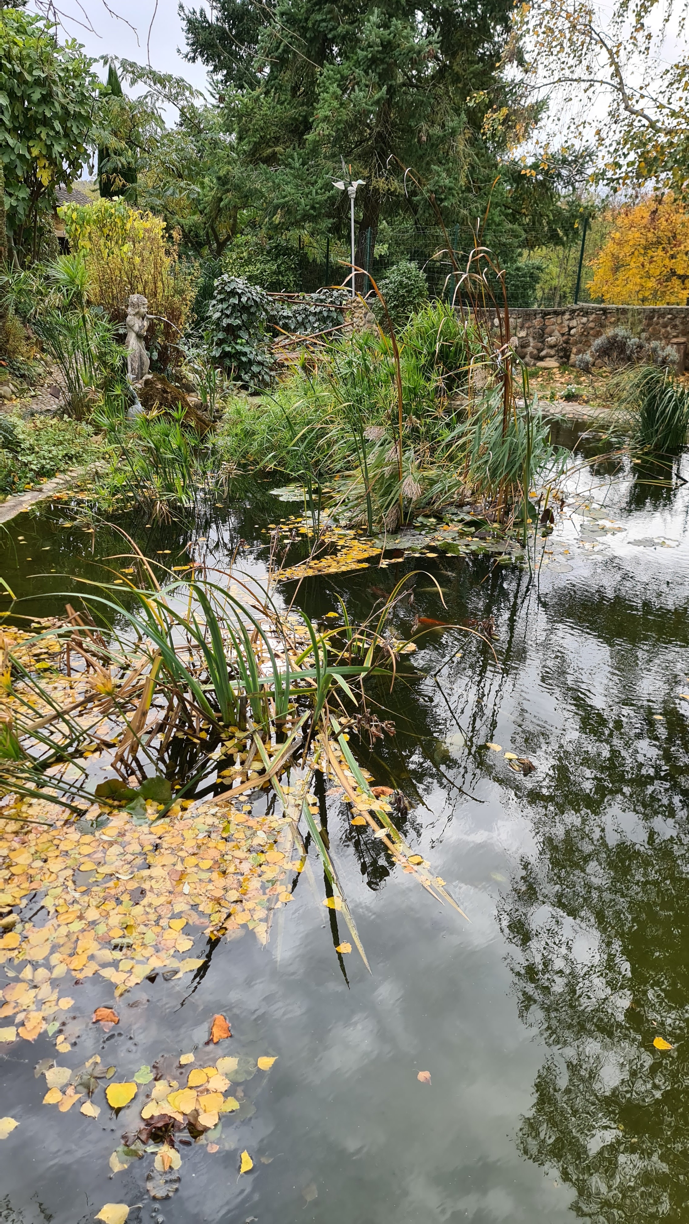 Photo n° 9 de l'avis de jean.r fait le 30/10/2021 à 22:01