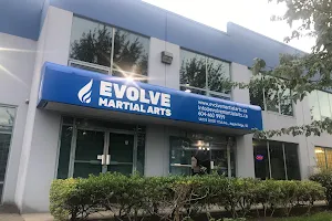 Evolve Martial Arts image
