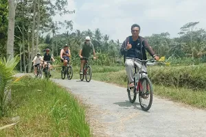 Bali Fun Bike Riding image