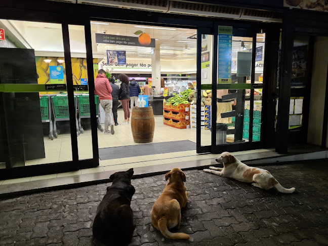 Pingo Doce Super Câmara de Lobos