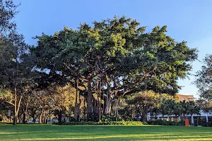 Foote University Green image